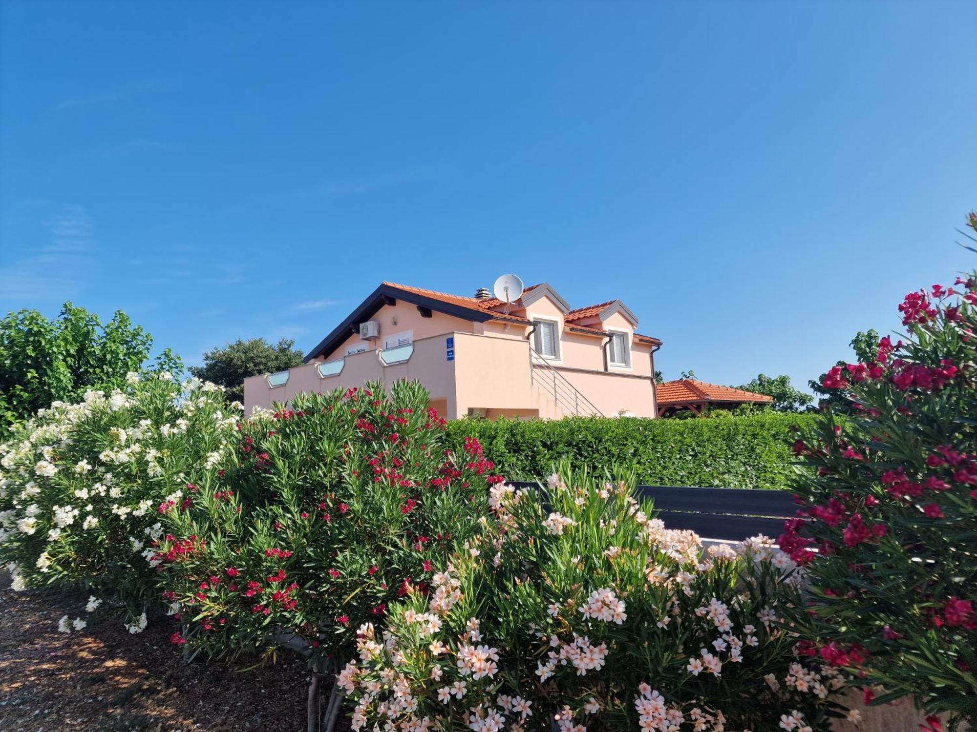 Villa Verbena Mala Cista 外观 照片